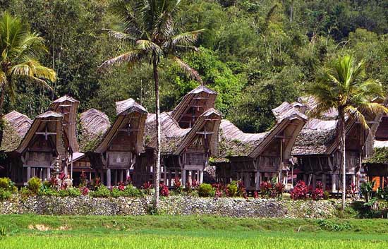 Tana-Toraja