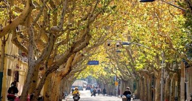 Vi vu Thượng Hải tháng 12  nên vui chơi ở đâu?