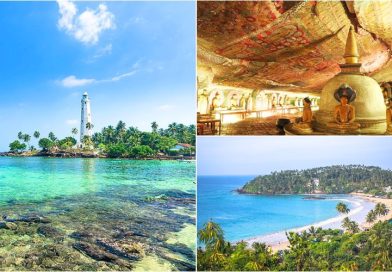 Tips du lịch Sri Lanka trọn vẹn cho người mới